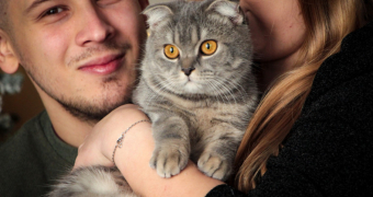 Проєкт житла для безпритульних тварин